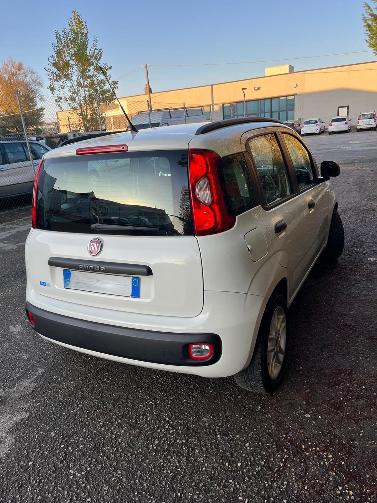 
								FIAT PANDA completo									