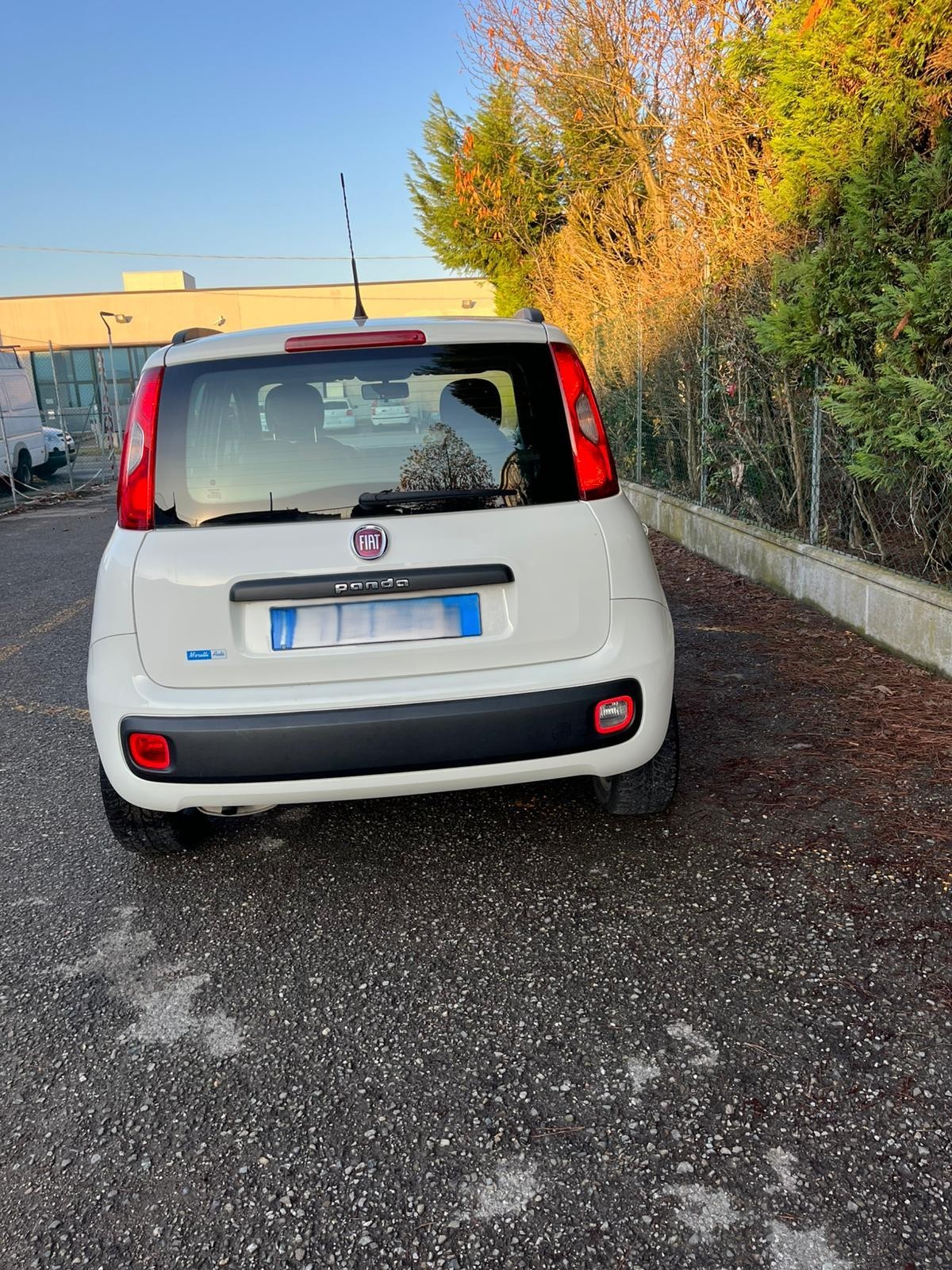 
								FIAT PANDA completo									