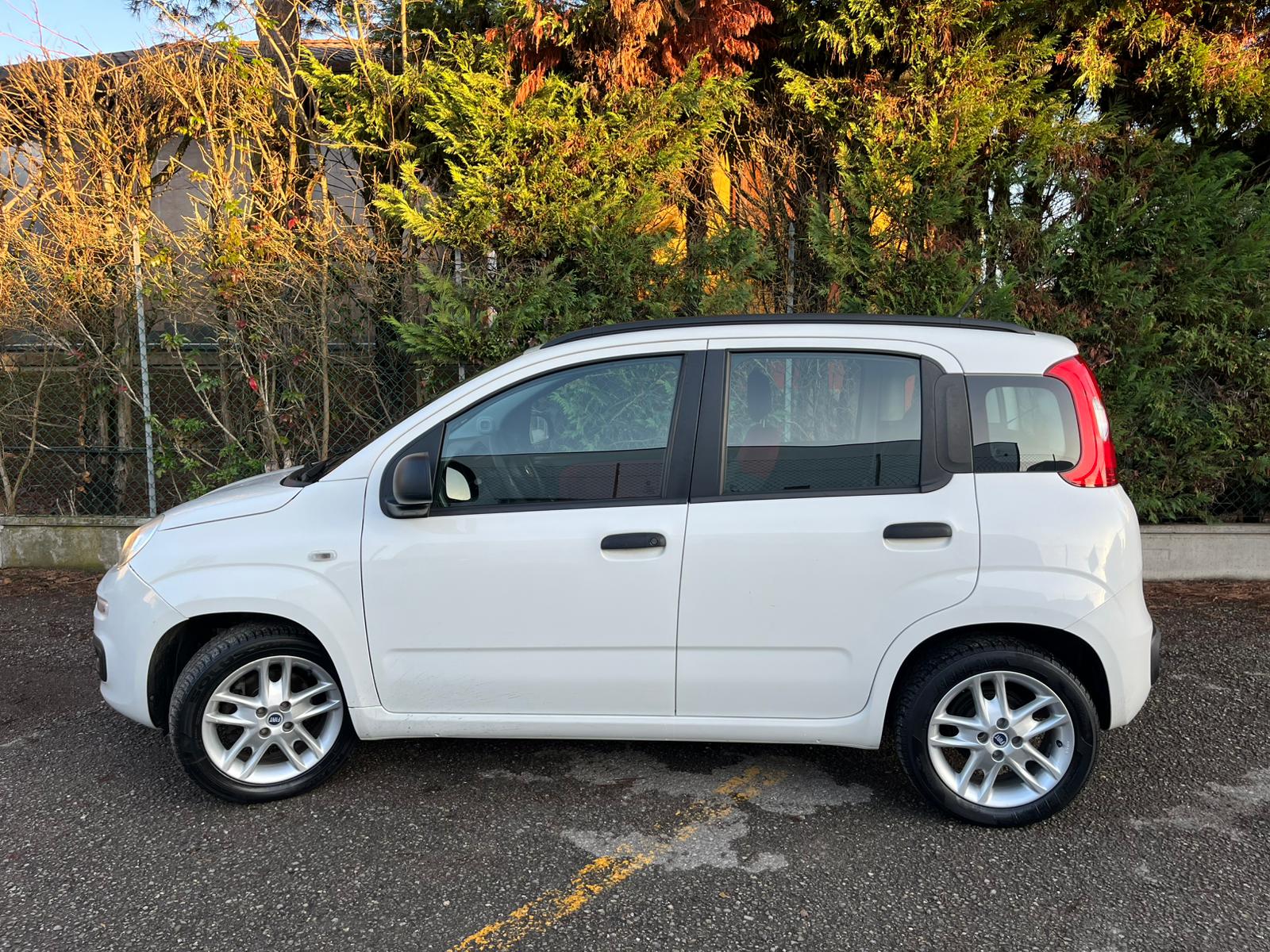 
								FIAT PANDA completo									