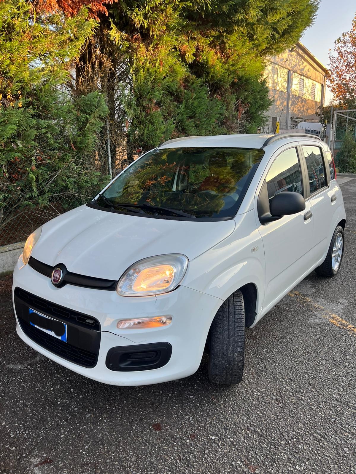 
								FIAT PANDA completo									