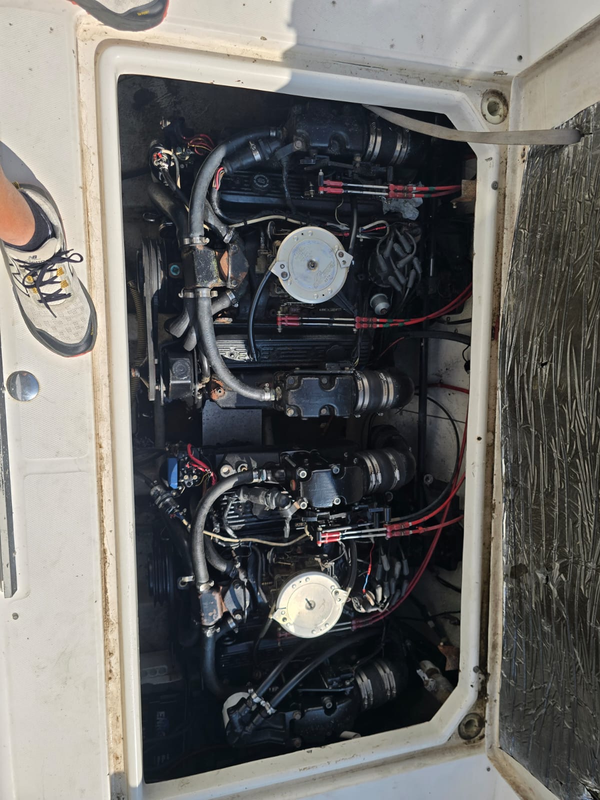 
								BARCA NATANTE BAYLINER CON FLYBRIDGE completo									