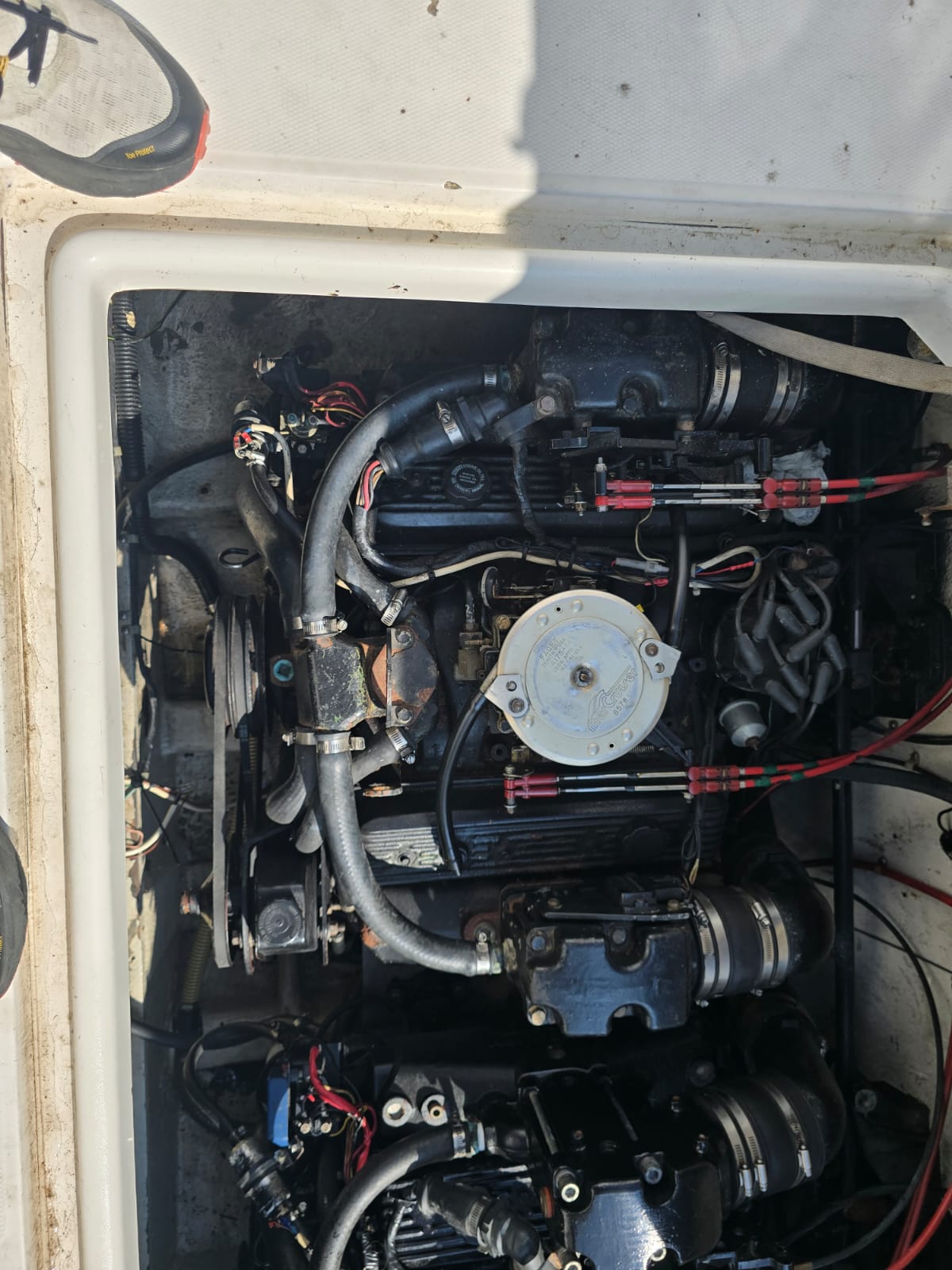 
								BARCA NATANTE BAYLINER CON FLYBRIDGE completo									