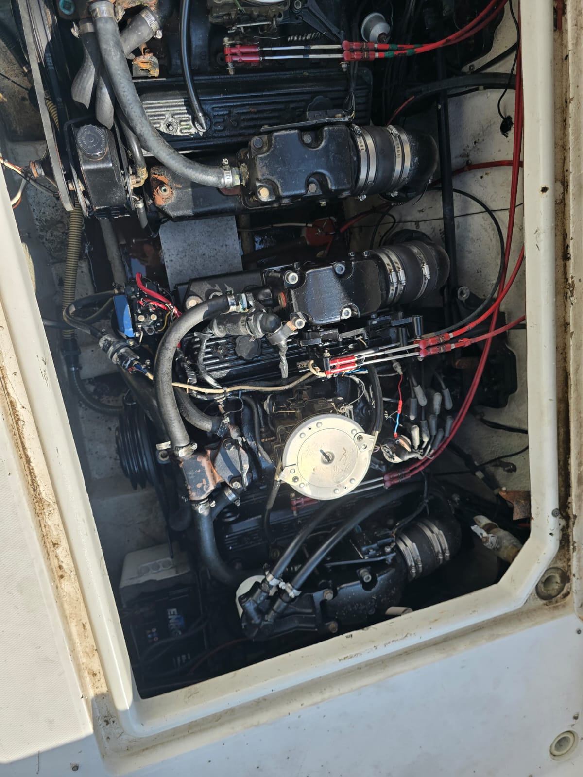 
								BARCA NATANTE BAYLINER CON FLYBRIDGE completo									