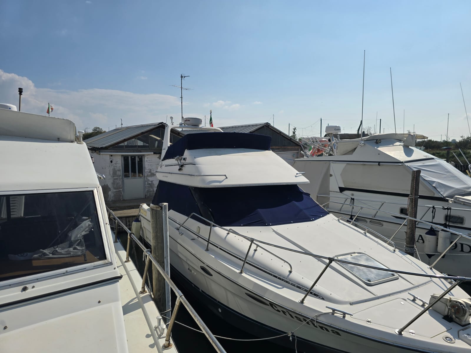 
								BARCA NATANTE BAYLINER CON FLYBRIDGE completo									