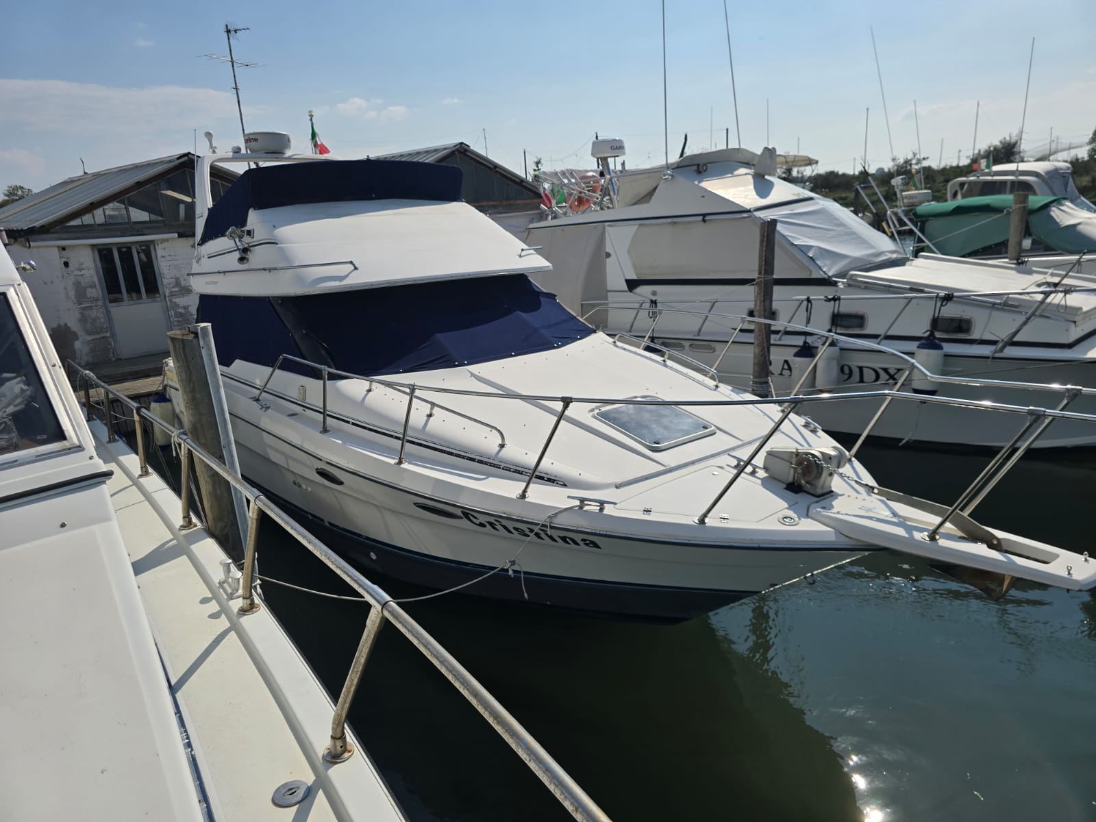 
								BARCA NATANTE BAYLINER CON FLYBRIDGE completo									