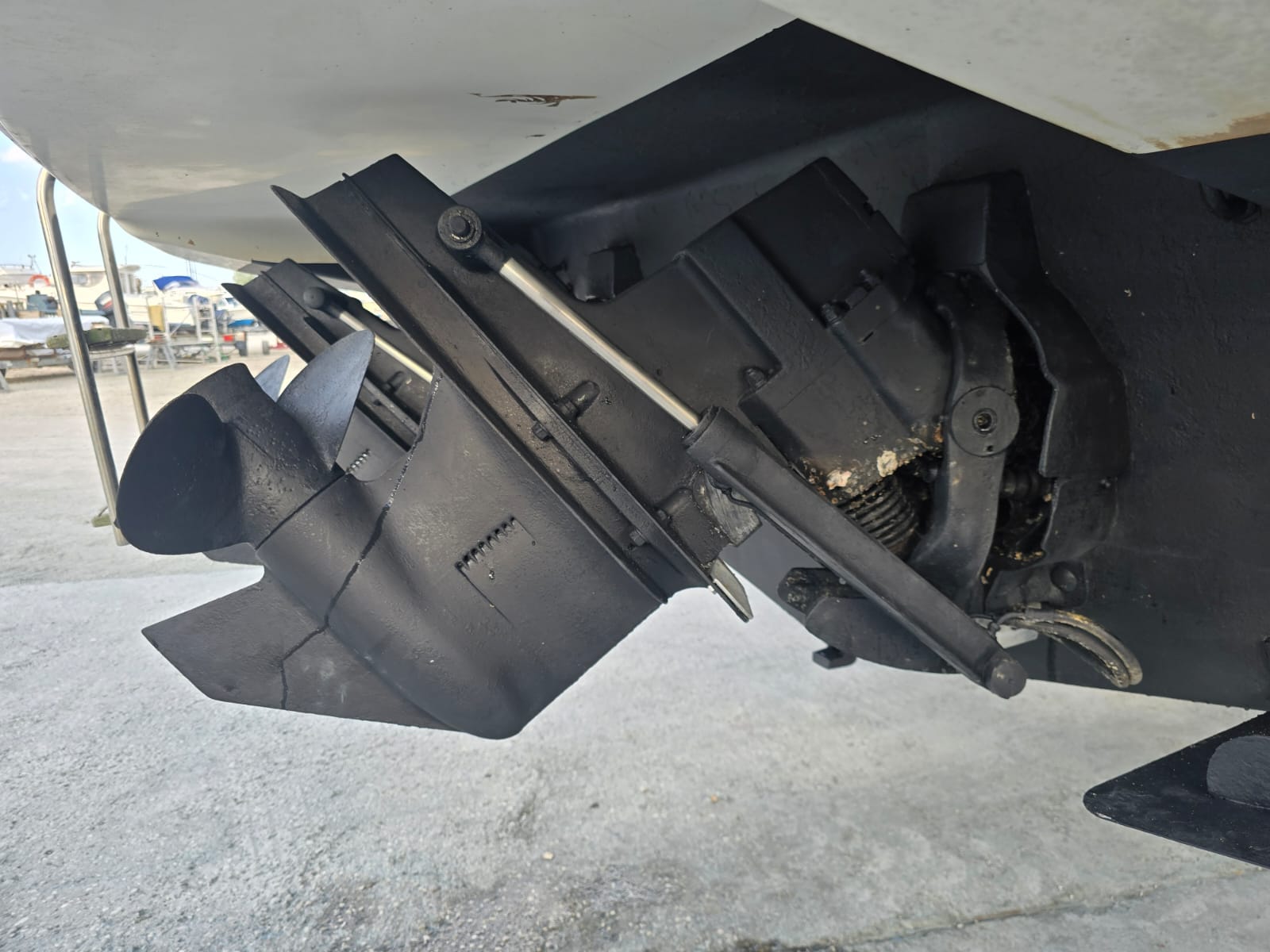 
								BARCA NATANTE BAYLINER CON FLYBRIDGE completo									